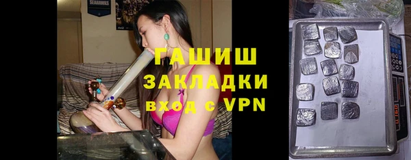 индика Володарск