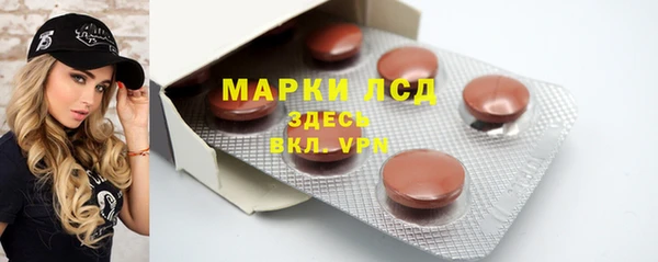 ПСИЛОЦИБИНОВЫЕ ГРИБЫ Гусь-Хрустальный