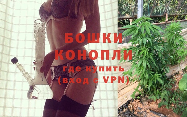 спиды Вязьма
