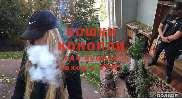 крисы Вязники