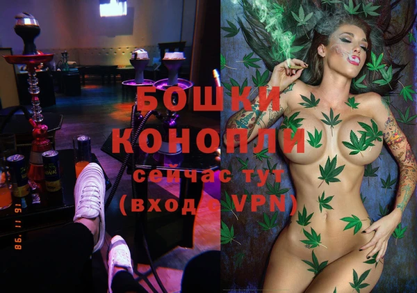 сатива Гусев