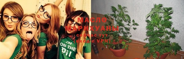 ПСИЛОЦИБИНОВЫЕ ГРИБЫ Гусь-Хрустальный