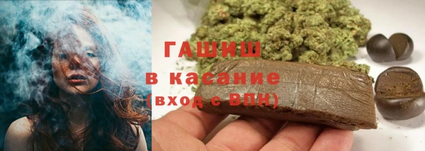 сатива Гусев