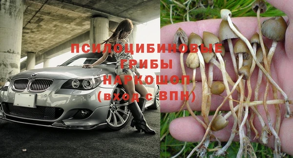 метадон Горнозаводск