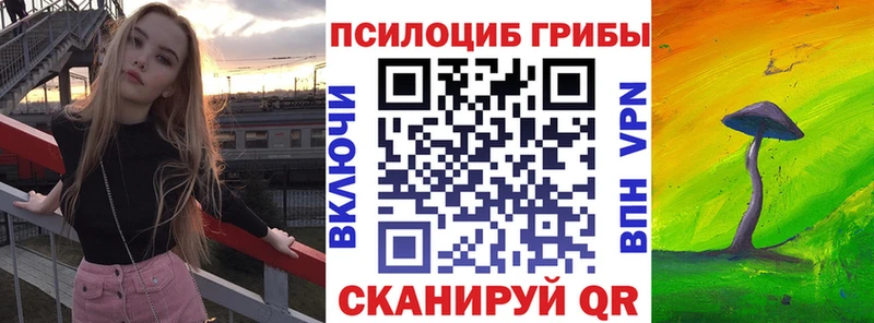 цена   Ермолино  Псилоцибиновые грибы Psilocybine cubensis 
